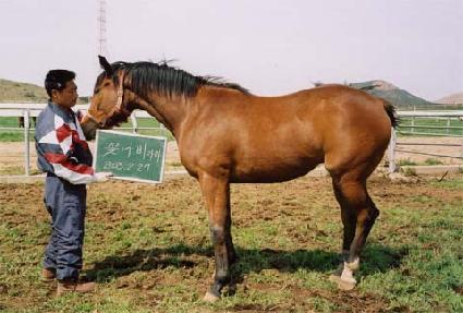 ���̱� ����