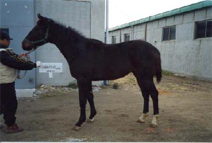 �������� ����