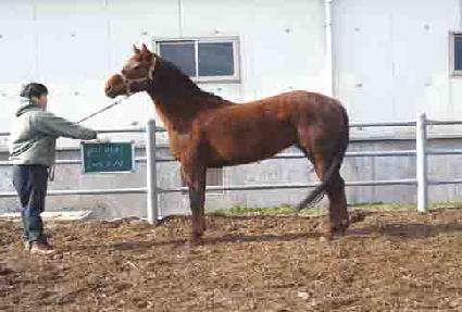 ����ġ ����