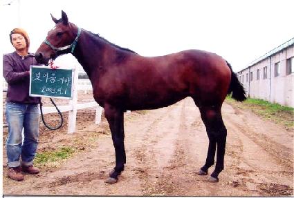 �ְ���ǳ ����