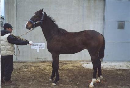 Ȳ�ݵ�ǳ ����