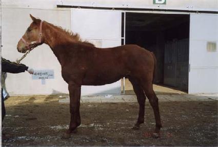 ����ǳ ����