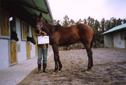 ���ǿ� ����