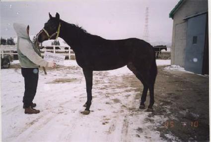 ���湫�� ����