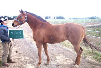 ����� ����