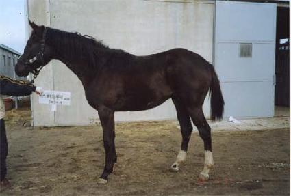 ������ȣ ����