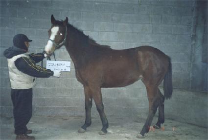 ���� ����