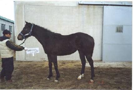 �İ� ����