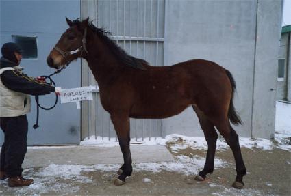 ���ν��� ����