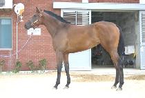 ���¿��� (JEONSEUNG YEOGEOL) ����