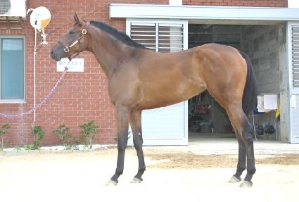 ���¿��� ����