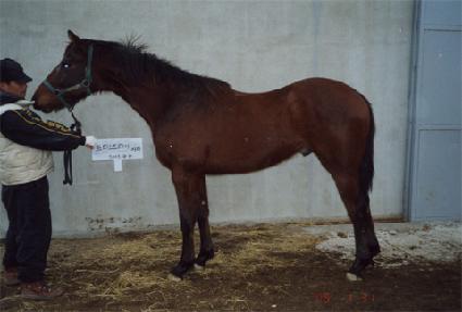 ����� ����