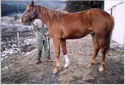 ����Ʈ���� ����