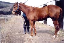 ������Ʈ (EXCELLENT) ����