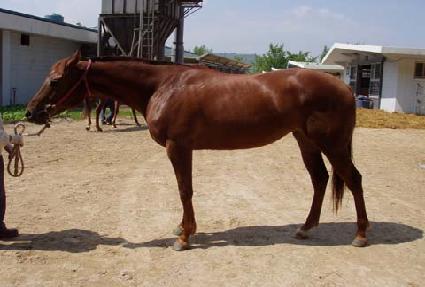 ���̻� ����