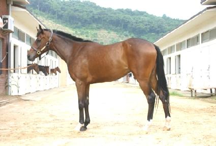 ���ؼ� ����