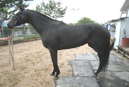 Ȳ�ݹ��� ����