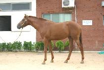 ���׼� (OEHANGSEON) ����