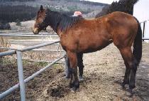 ���ǹ��� (KKUMUI MULGYEOL) ����