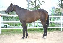 ������� (GISEUP GONGGYEOK) ����