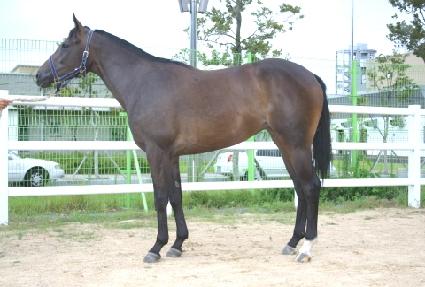 ������� ����