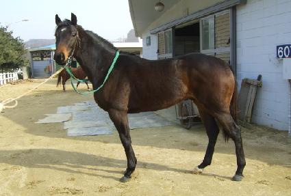 ���Ϸ�� ����