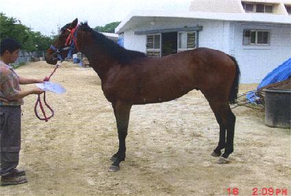 ������� ����