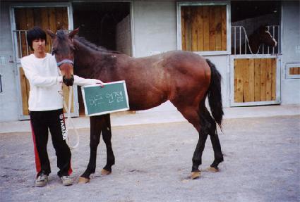 ���߰� ����