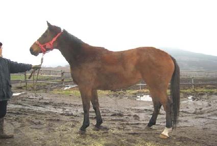 ��ȣ�� ����