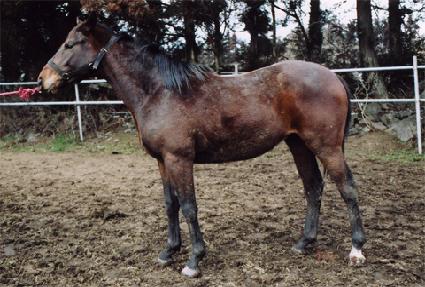 �޴޹ڽ� ����