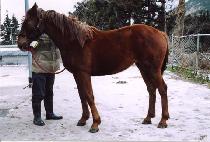 ����ȯȣ (EUNBIT HWANHO) ����