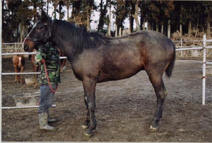 ����Ʈ ����