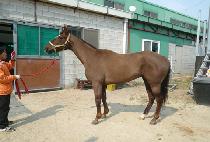 �������� (AEGIS HAM) ����