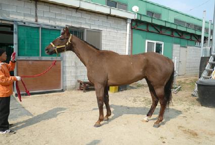 �������� ����