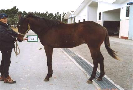 ����ũ ����