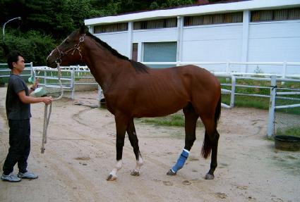 �ݵ��Ǻ� ����