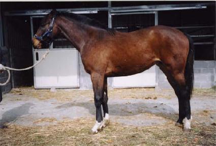 û������ ����