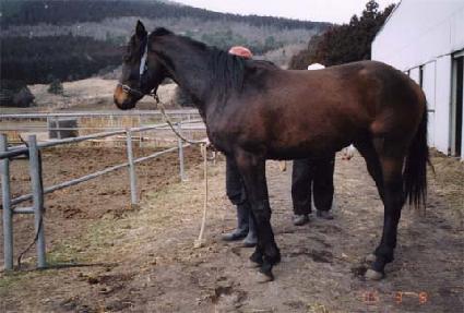 �������� ����