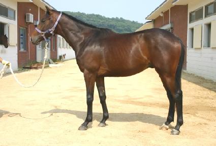 �Ӹ����̽� ����