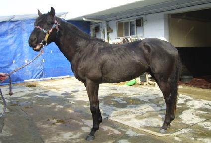 ���ʽ����� ����