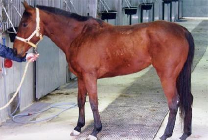 �ξ�è�Ǿ� ����