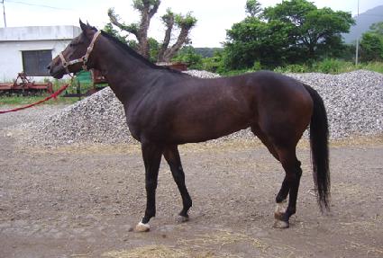 ���̹� ����