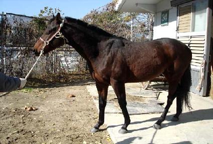 ����ǳ ����