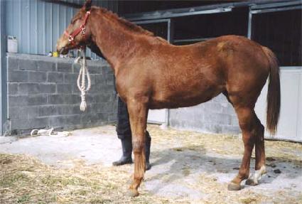 �ö���� ����