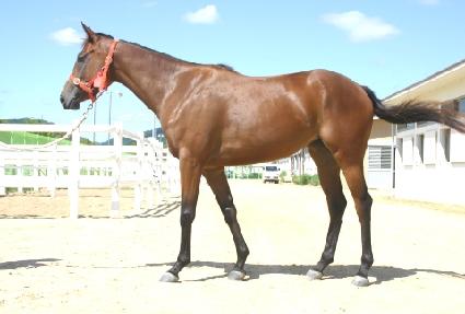 ������ ����