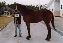 �󸮹��� (EARLY BIRD) ����