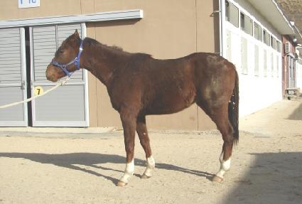 �����ѽ¸� ����