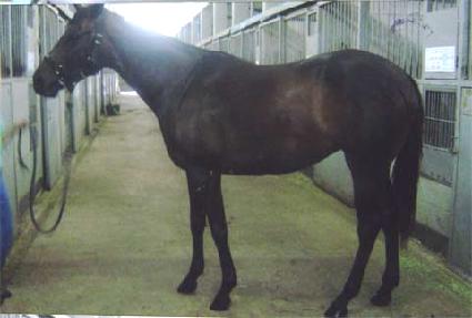 ��Ű���� ����