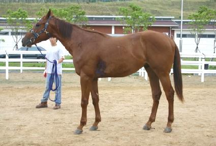 ���������� ����