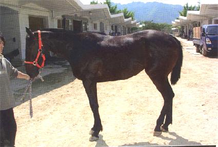 ����ְ��� ����